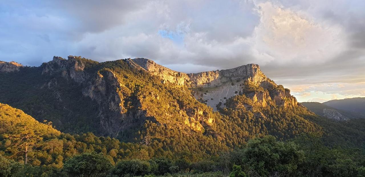 Valle Del Guadalquivir * Arroyo Frío