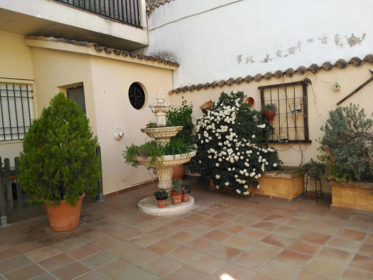 Valle Del Guadalquivir * Arroyo Frío